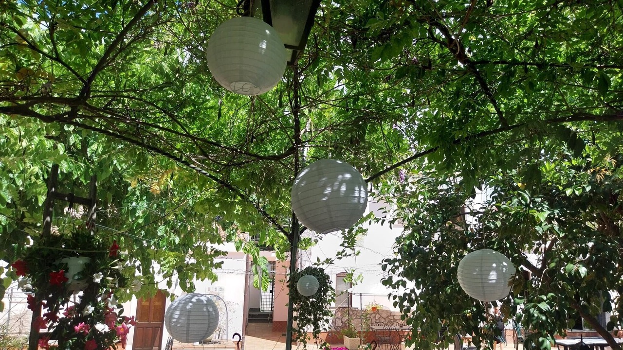 Photo of Outdoor in Mitogio