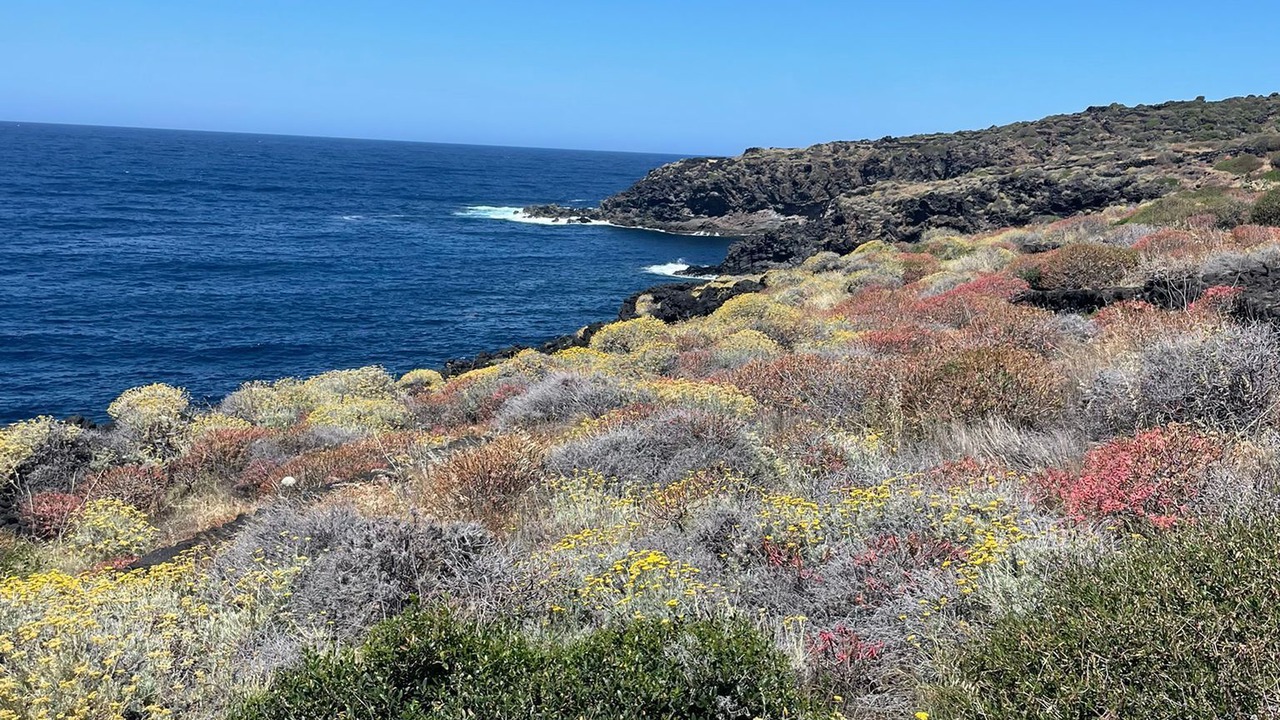 Photo of Others in Pantelleria