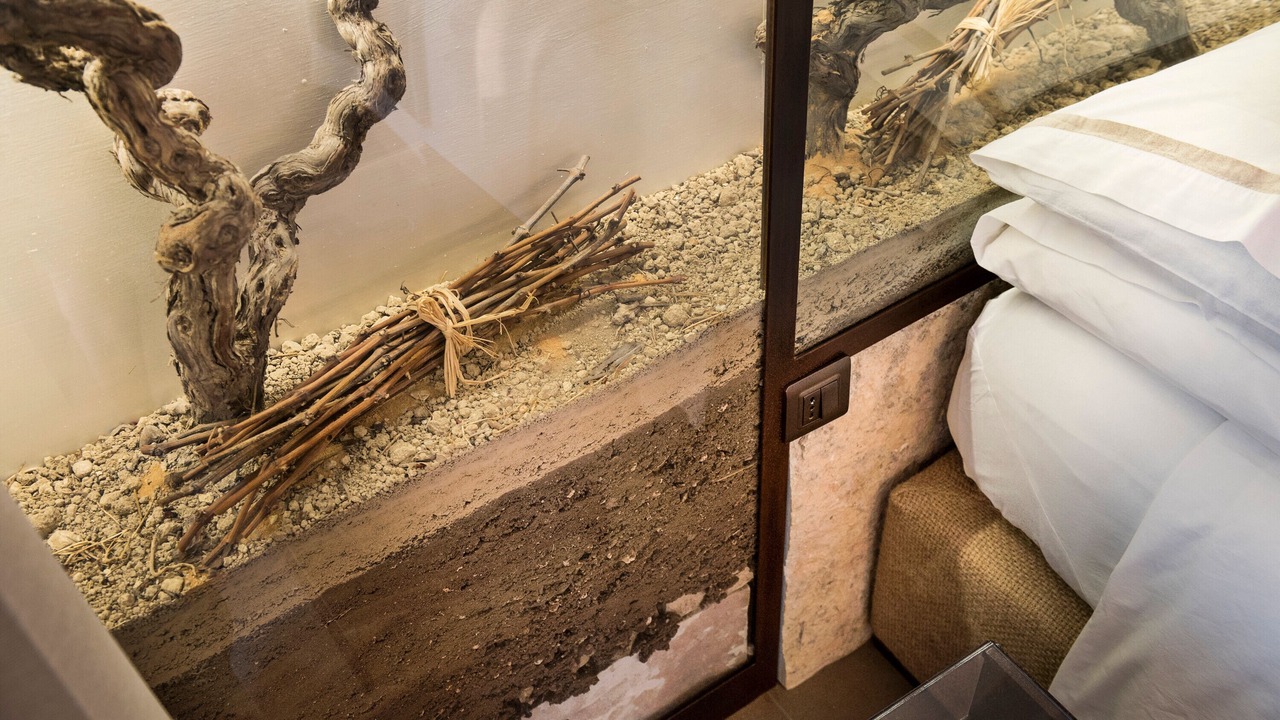 Photo of Bedroom in Ispica