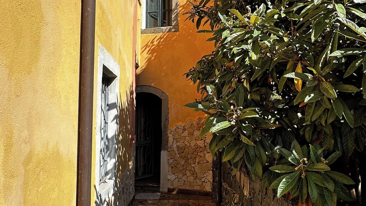 Photo of Outdoor in Mitogio
