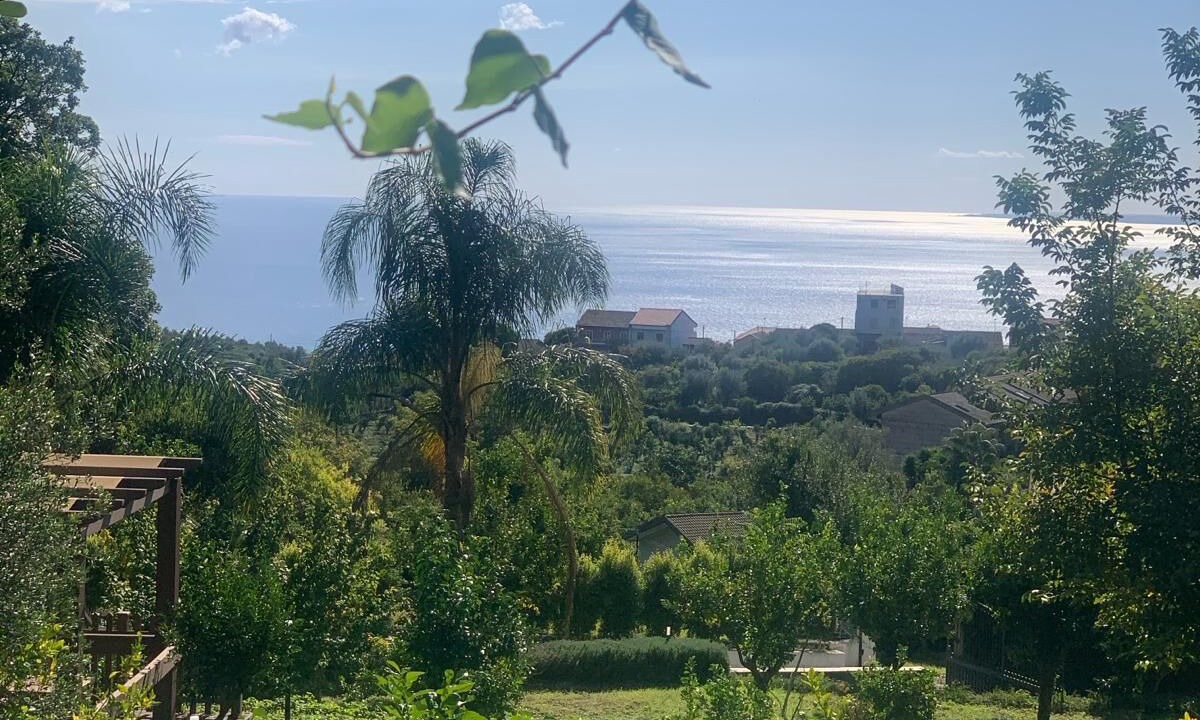 Photo of Outdoor in Valverde