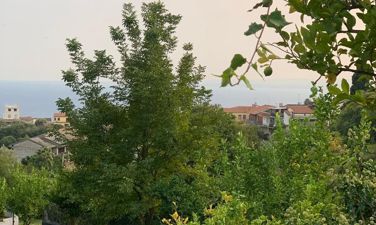 Photo of Outdoor in Valverde