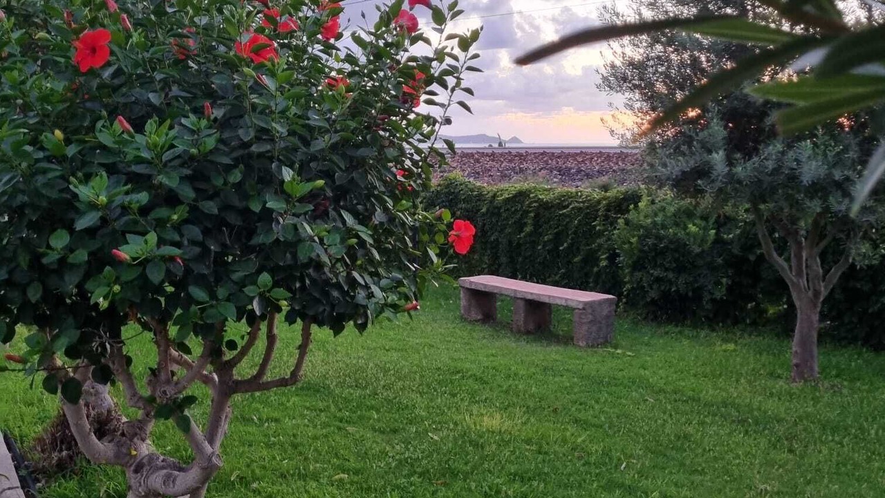 Photo of Outdoor in Gioiosa Marea