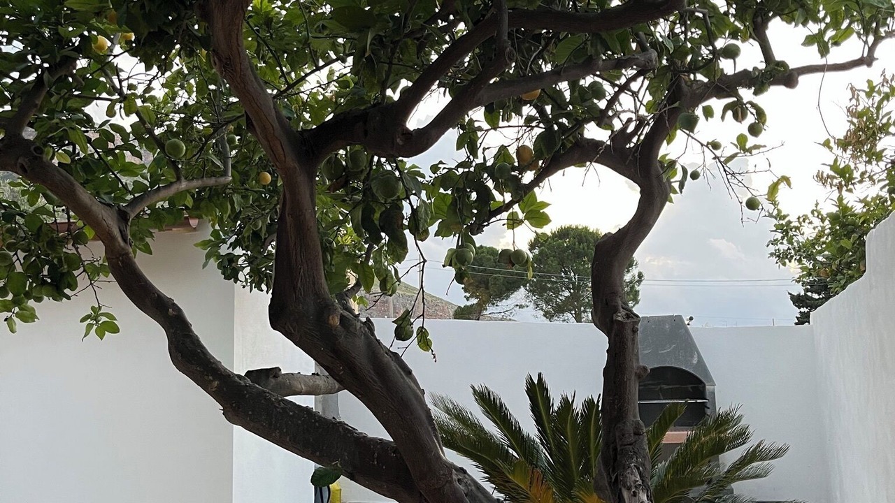 Photo of Outdoor in Tonnara di Bonagia