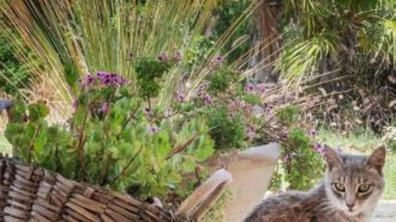 Photo of Outdoor in Montallegro