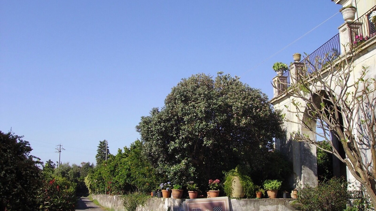 Photo of Outdoor in Carruba