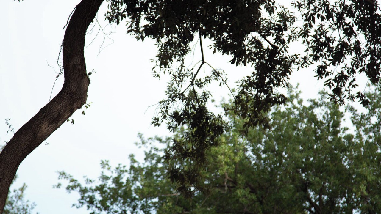 Photo of Outdoor in Palazzolo Acreide