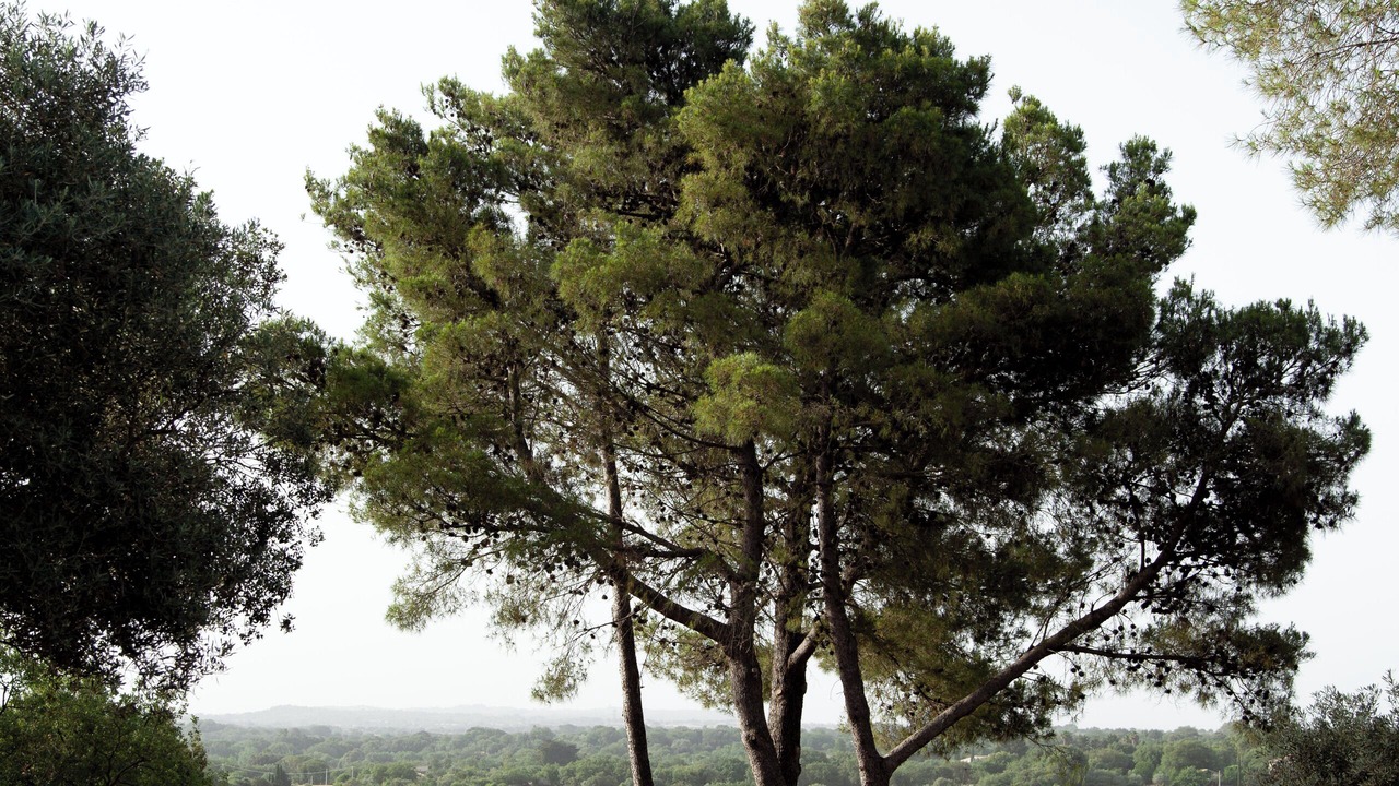Photo of Outdoor in Palazzolo Acreide