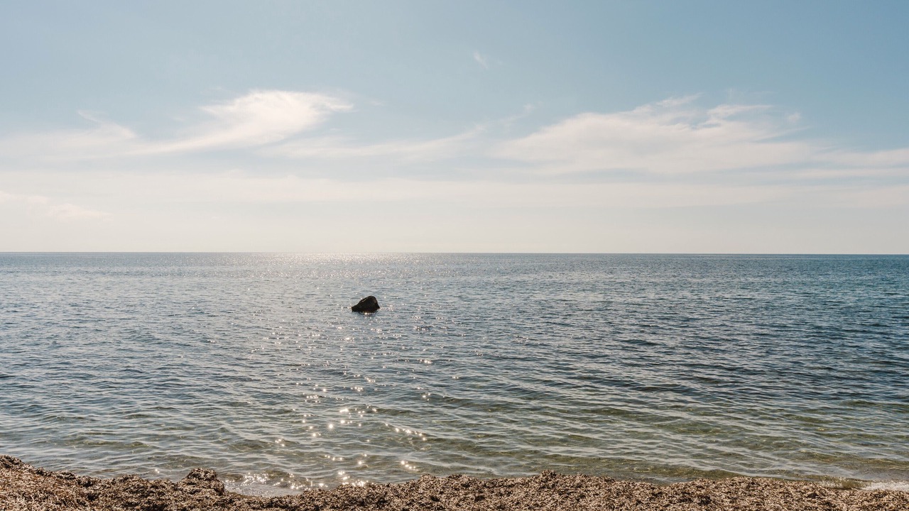 Photo of Others in Marsala