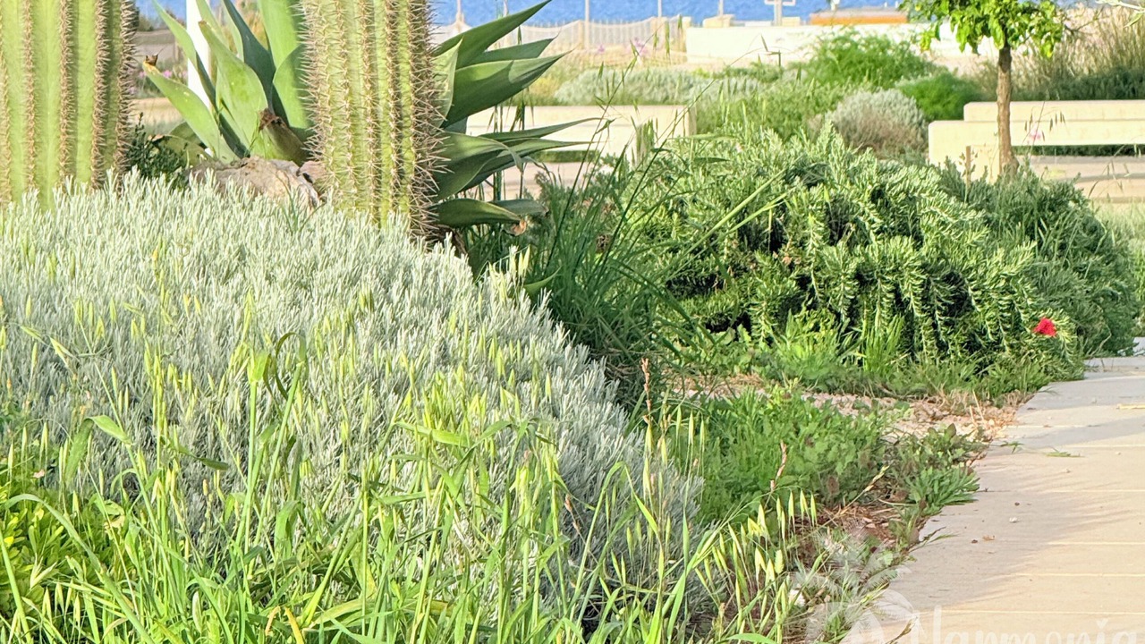 Photo of Outdoor in Eastern Sicily