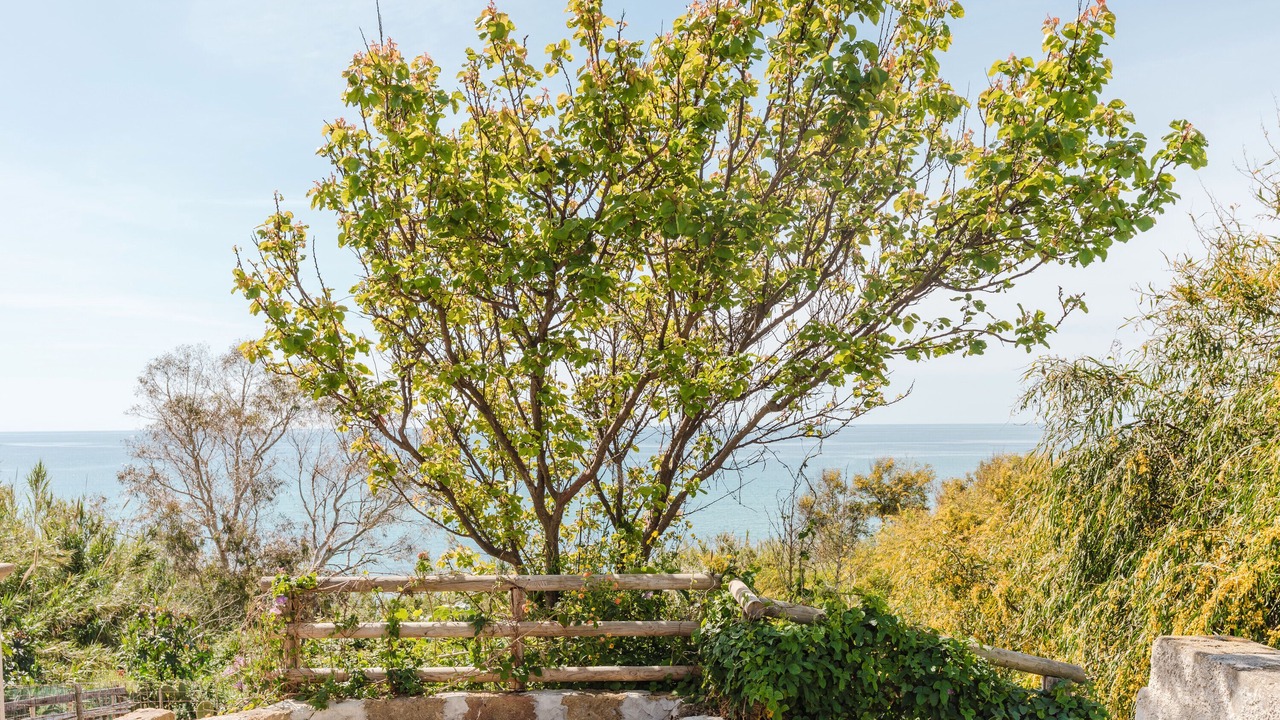 Photo of Outdoor in Marinella di Selinunte