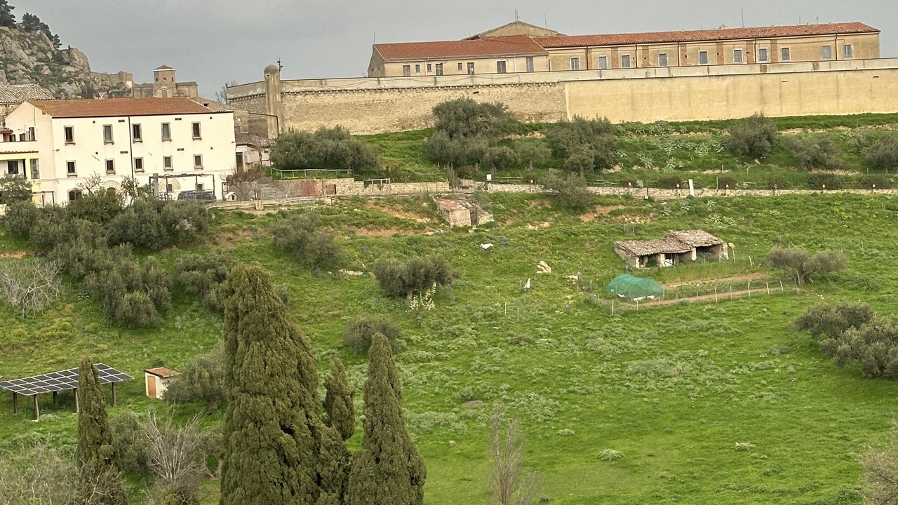 Photo of Others in Nicosia