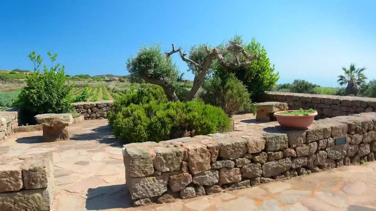 Photo of Outdoor in Pantelleria