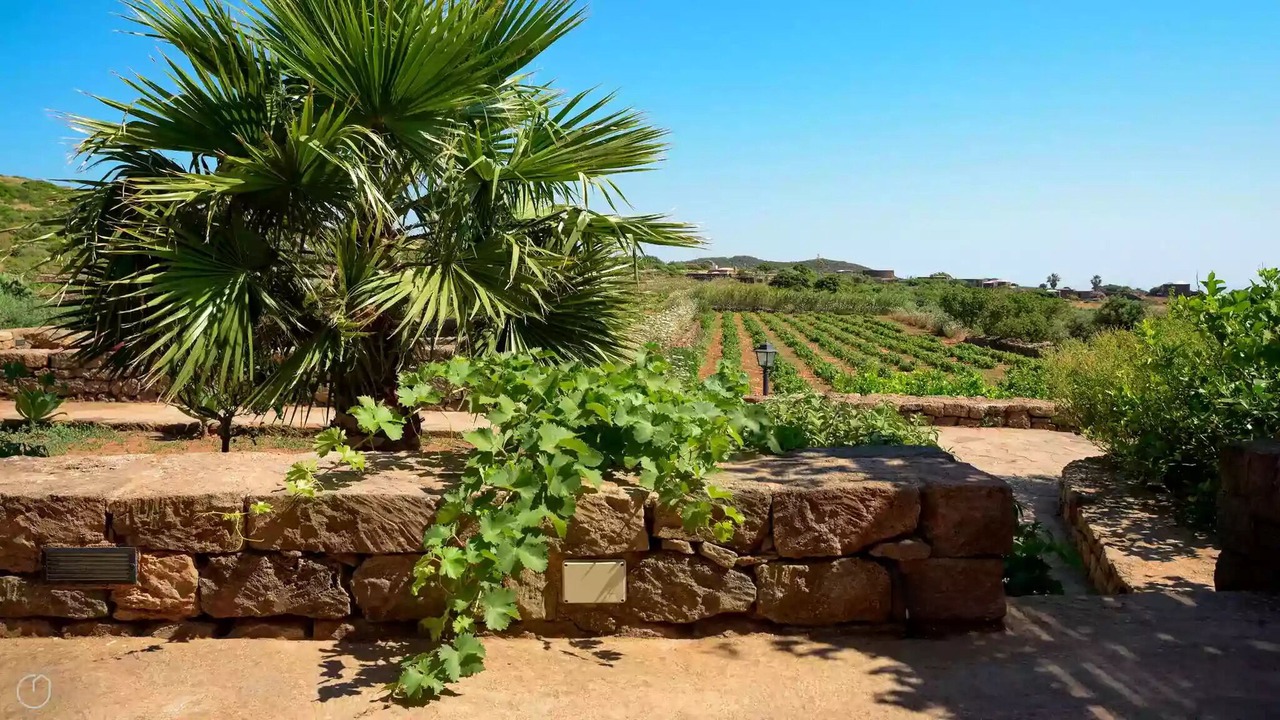 Photo of Outdoor in Pantelleria
