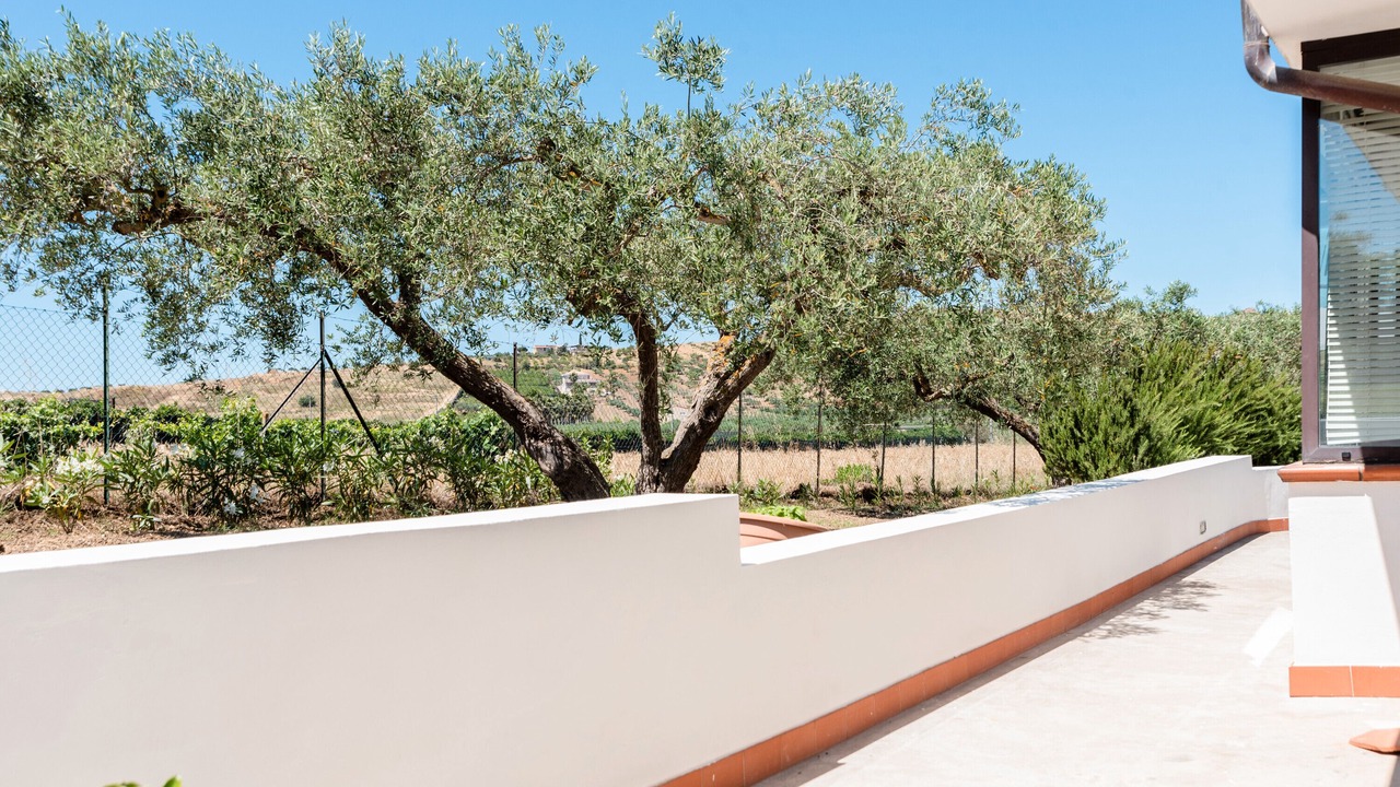 Photo of Outdoor in Montallegro