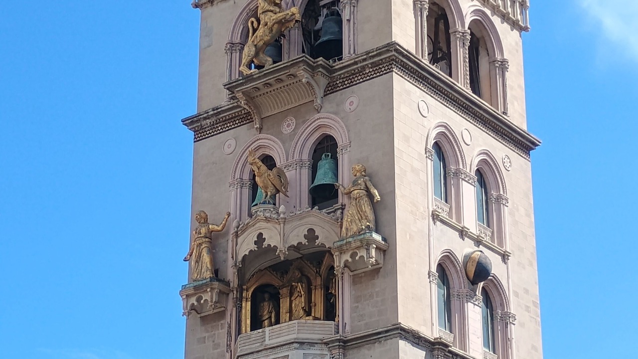 Photo of Others in Province of Messina