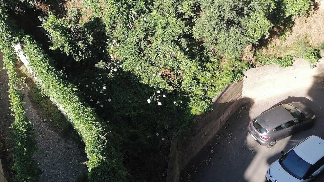 Photo of Outdoor in Province of Messina