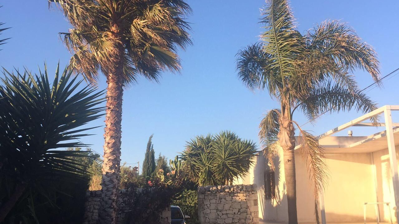 Photo of Outdoor in Tribastone I