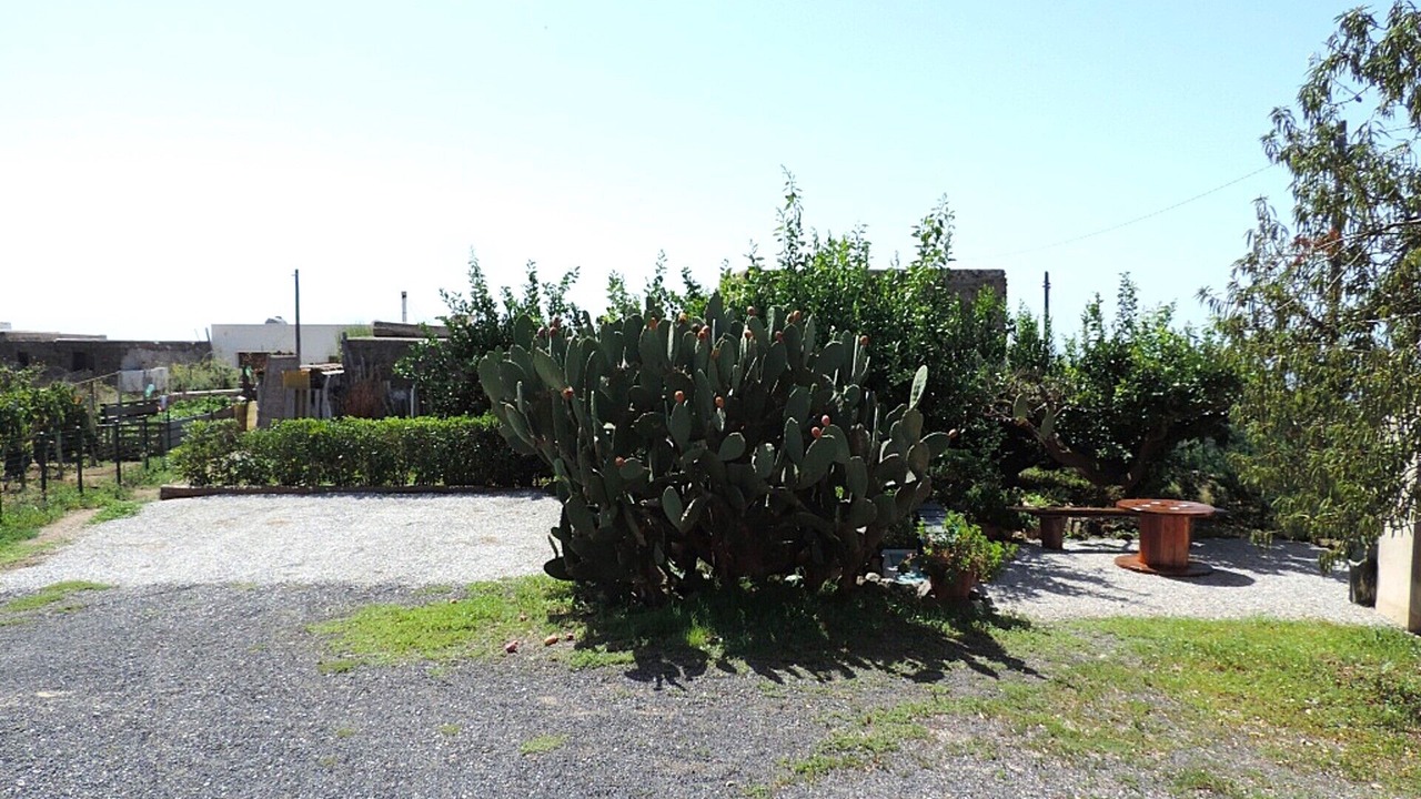 Photo of Outdoor in Pianoconte