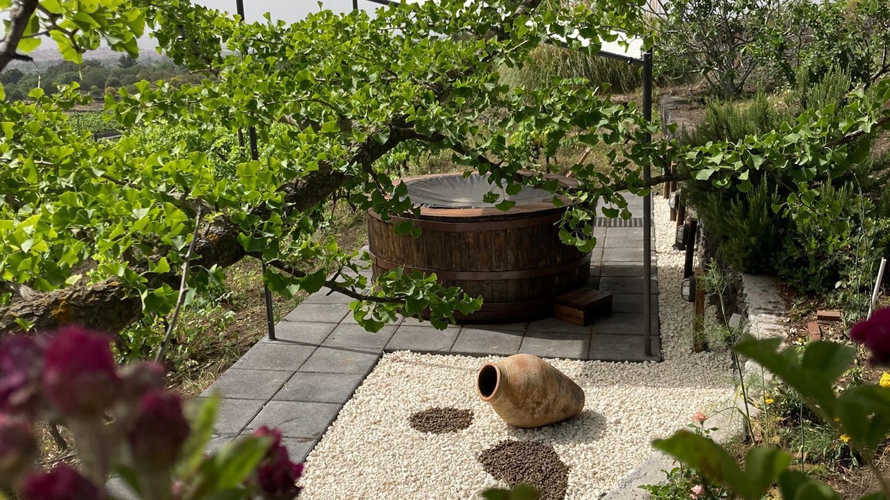Photo of Outdoor in Pedara