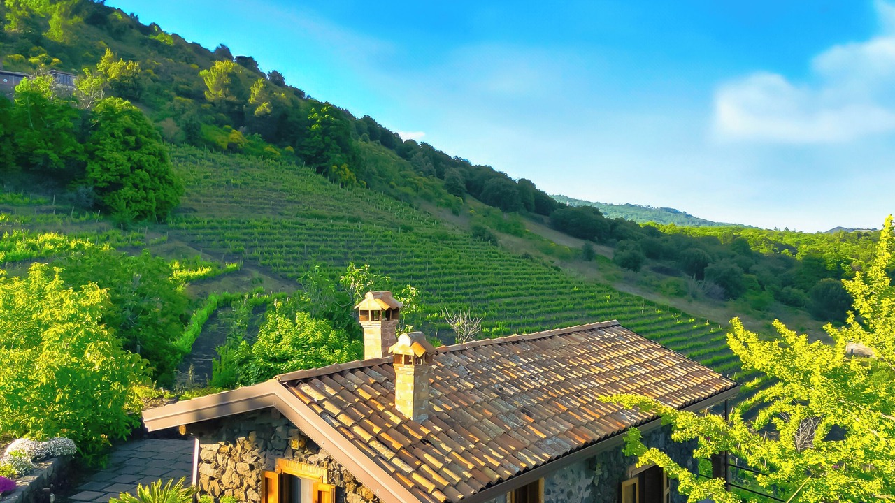 Photo of Outdoor in Pedara
