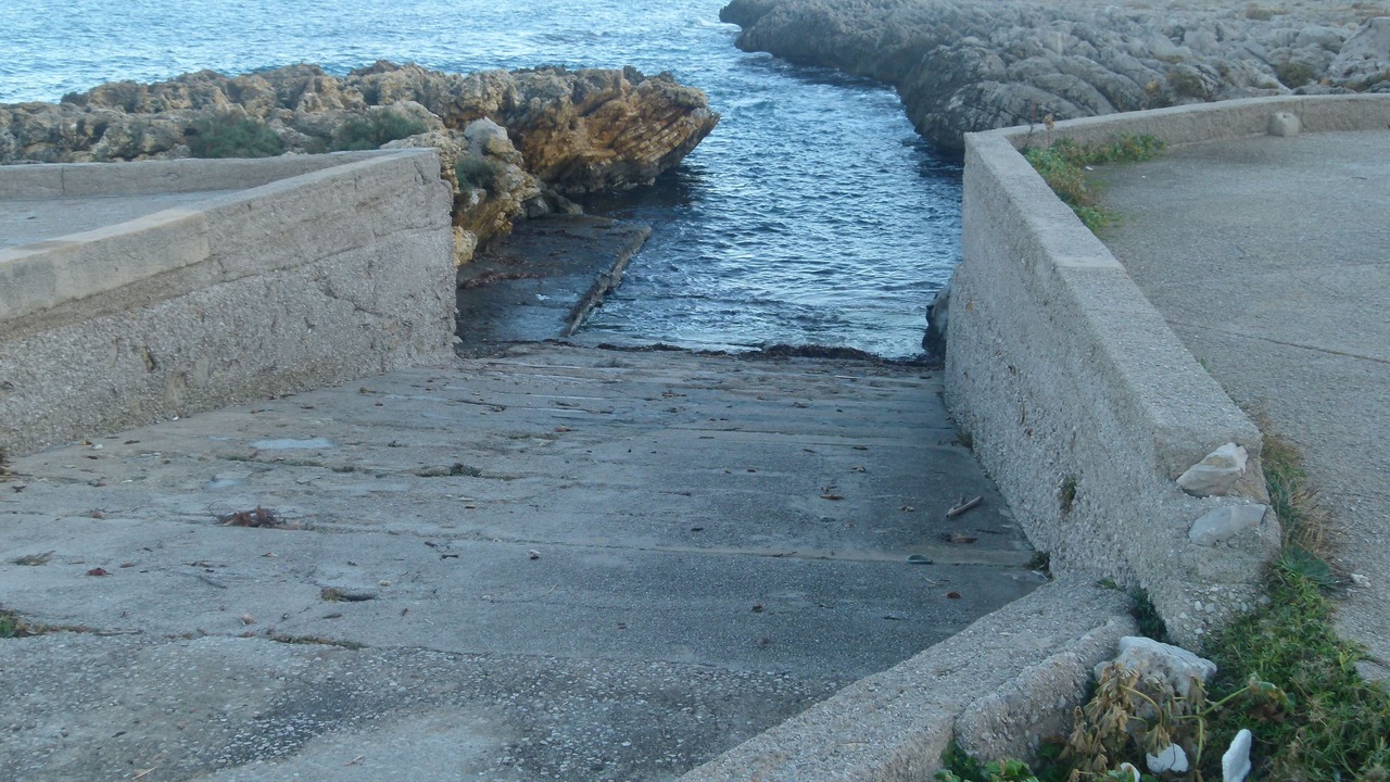 Photo of Others in Carini