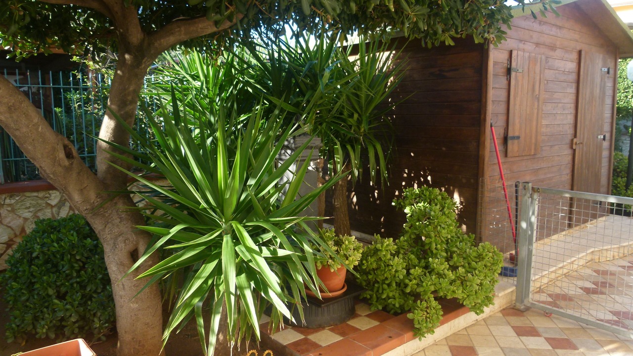 Photo of Outdoor in Carini