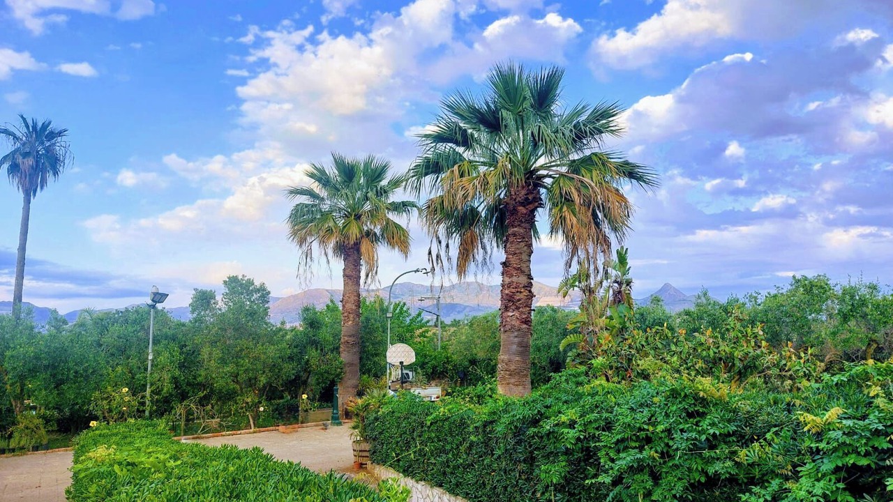 Photo of Outdoor in Partinico
