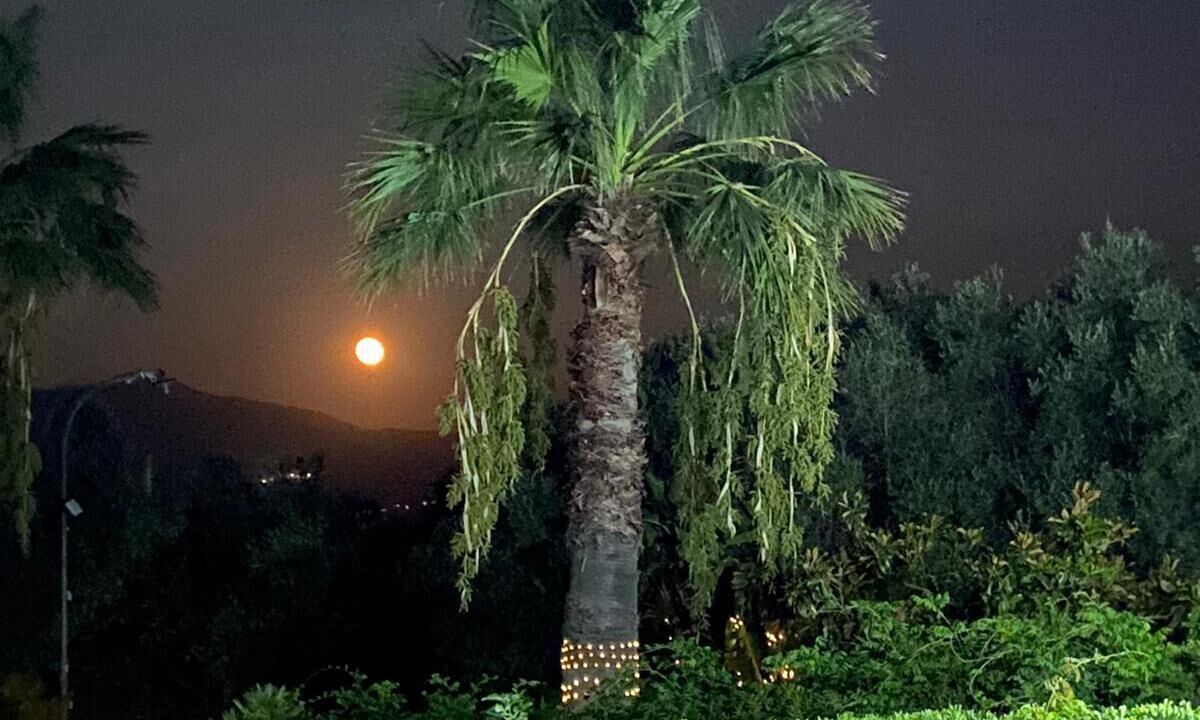 Photo of Outdoor in Partinico