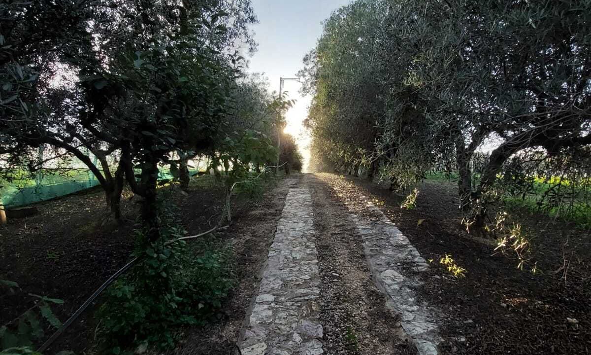 Photo of Others in Partinico
