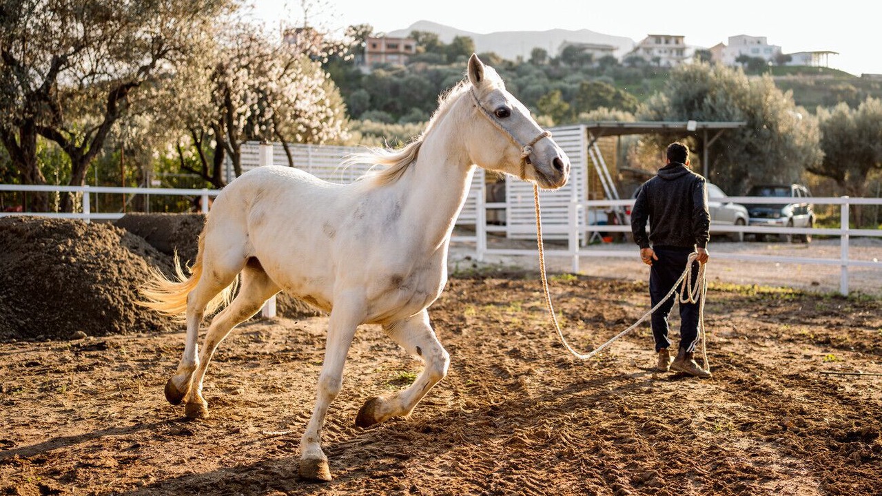 Photo of Others in Sant'Agata di Militello