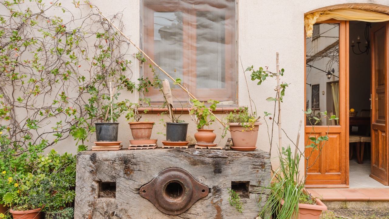 Photo of Outdoor in Castelluzzo
