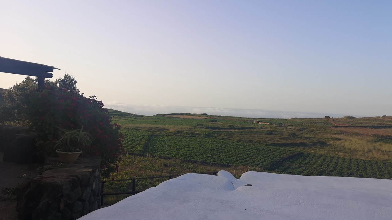 Photo of Outdoor in Pantelleria
