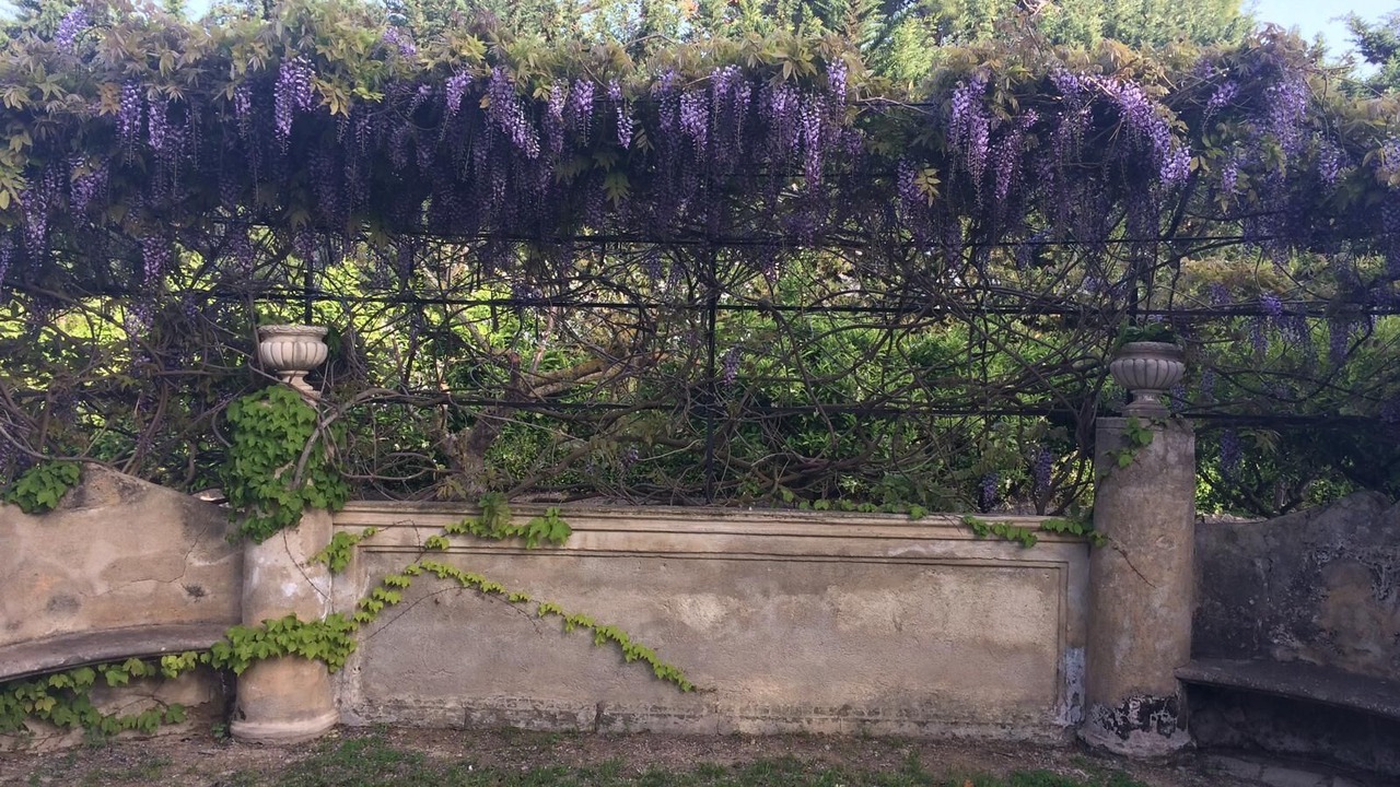 Photo of Outdoor in Marsala