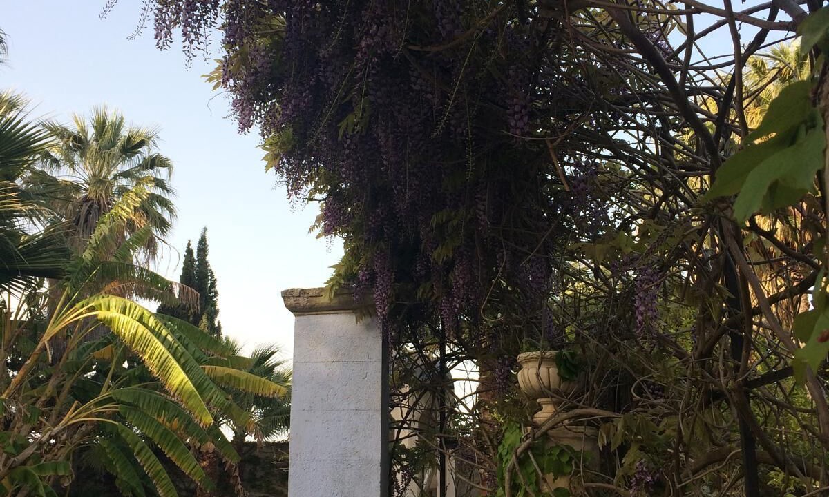 Photo of Outdoor in Marsala