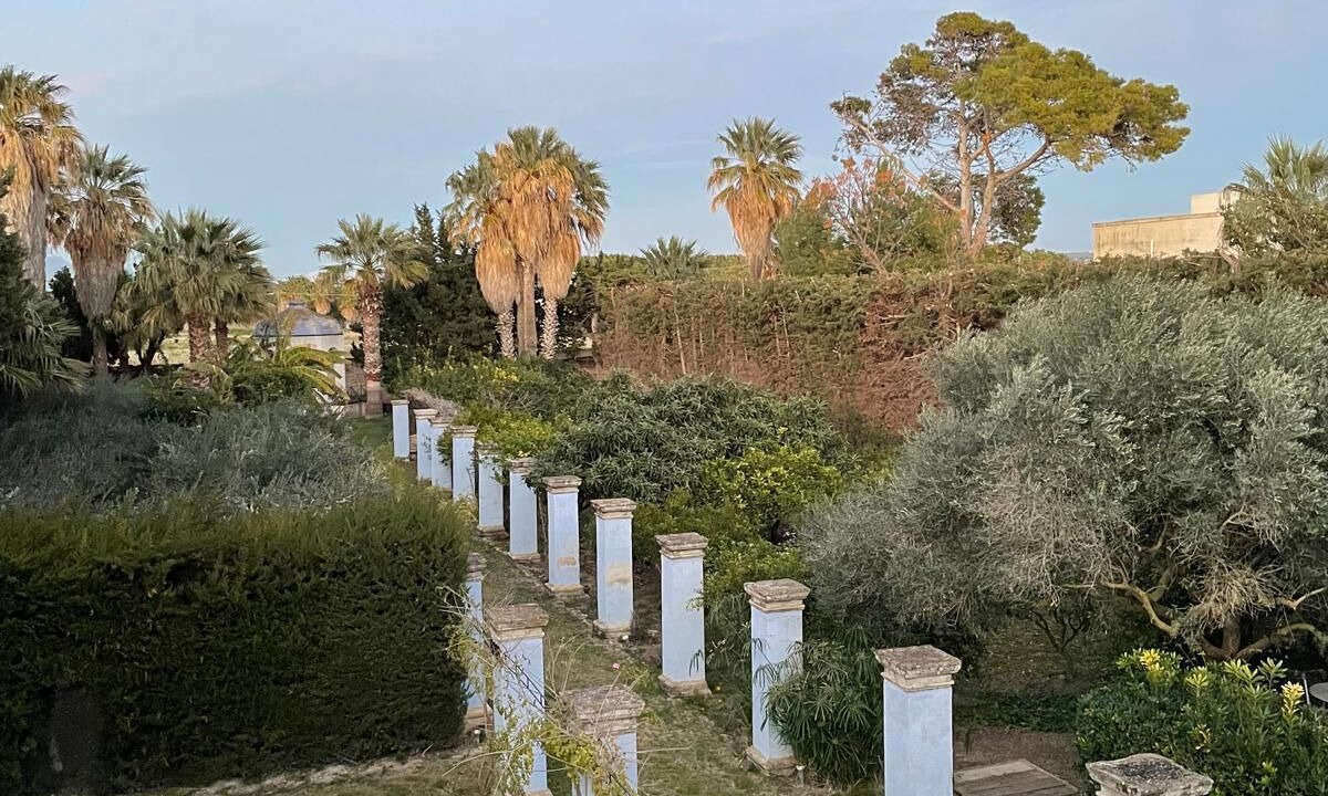 Photo of Others in Marsala