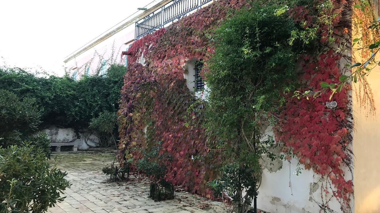Photo of Outdoor in Marsala