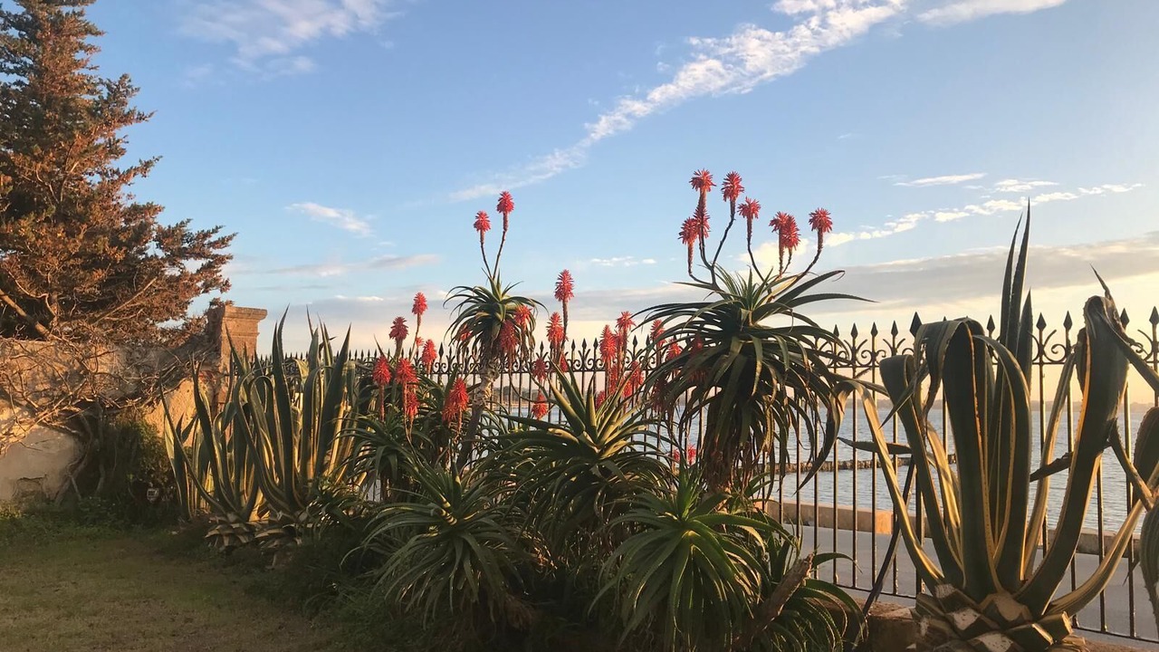 Photo of Outdoor in Marsala