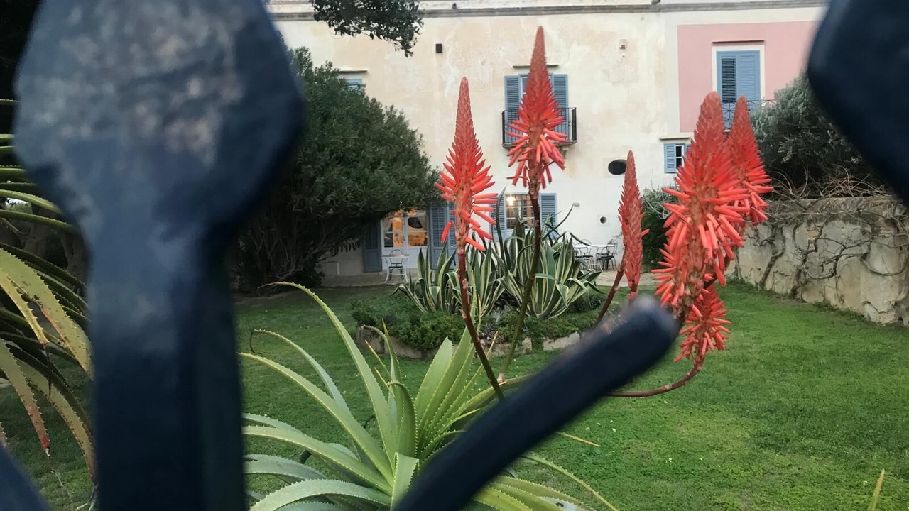 Photo of Outdoor in Marsala