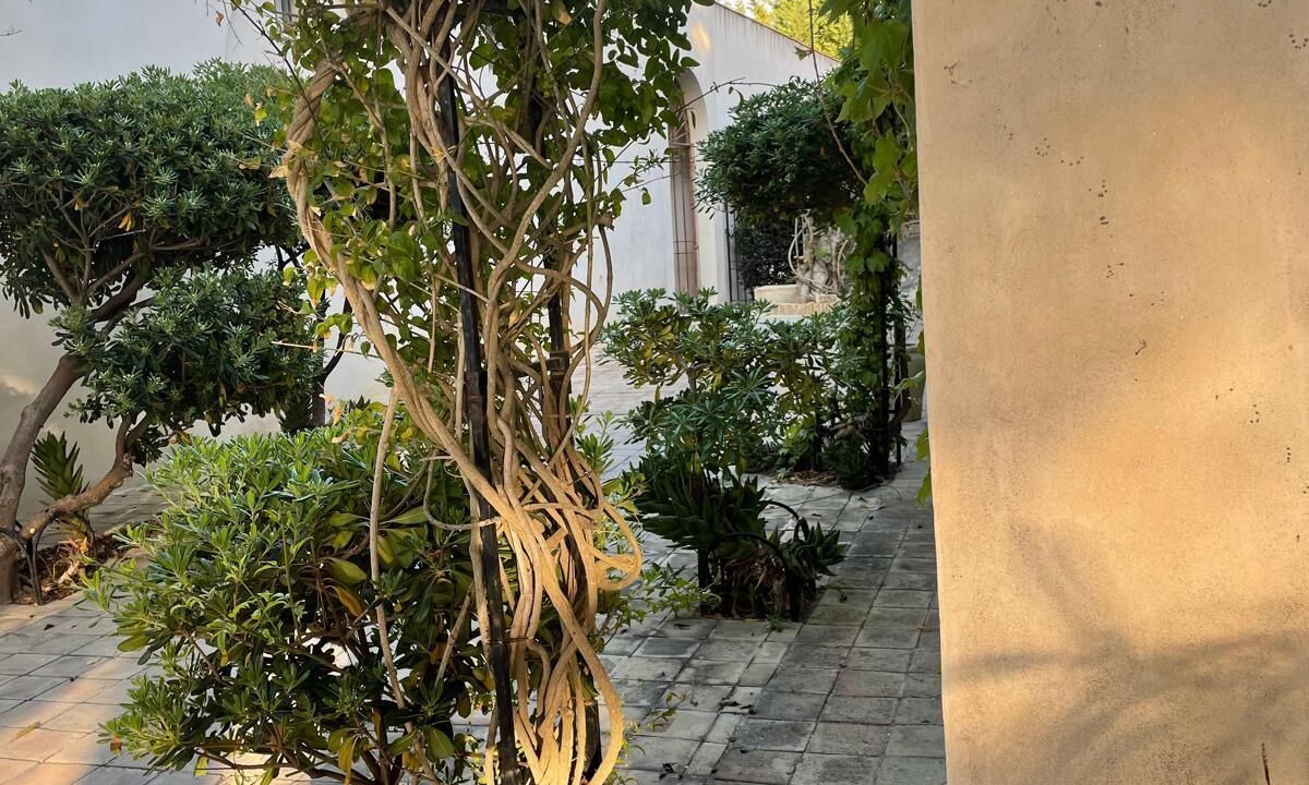 Photo of Outdoor in Marsala
