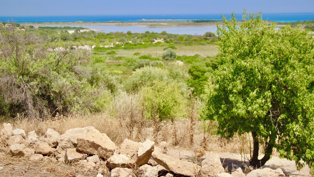 Photo of Others in Noto