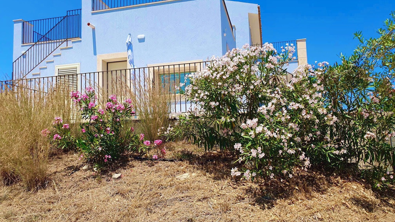 Photo of Outdoor in Noto