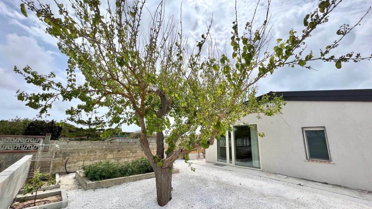 Photo of Outdoor in Granelli