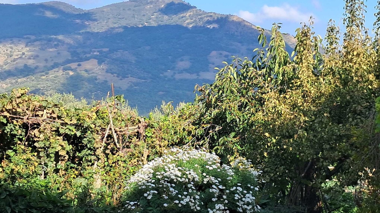 Photo of Outdoor in Isnello