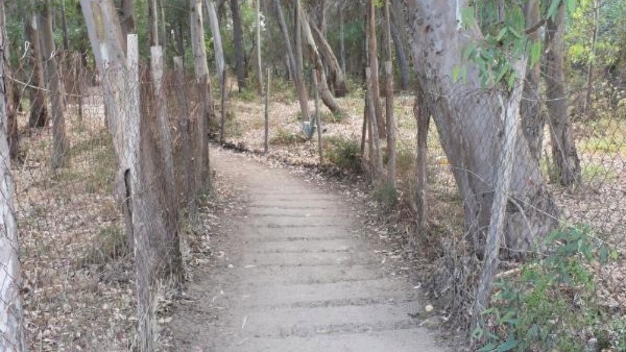 Photo of Outdoor in San Giorgio-Librino-San Giuseppe la Rena-Zia Lisa-Villaggio Sant'Agata