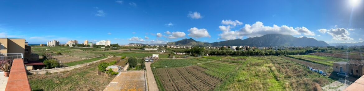 Photo of Others in Palermo