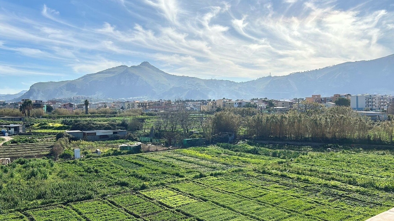 Photo of Others in Palermo