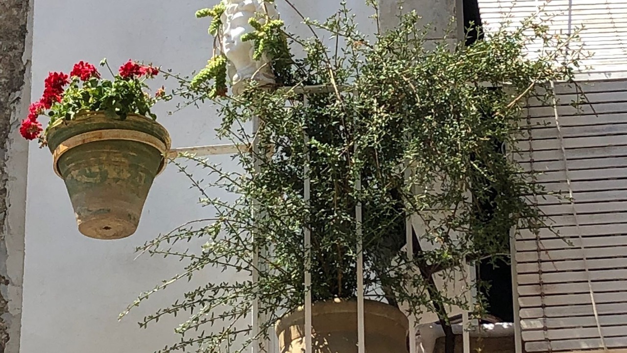 Photo of Outdoor in Ferla