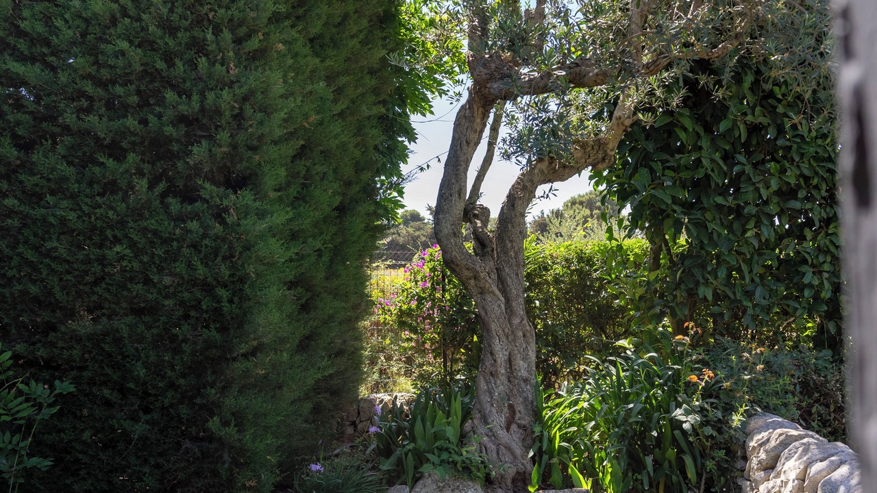 Photo of Outdoor in Ragusa