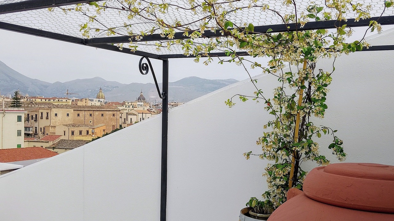 Photo of Patio Balcony in Corso dei Mille - Sant'Erasmo